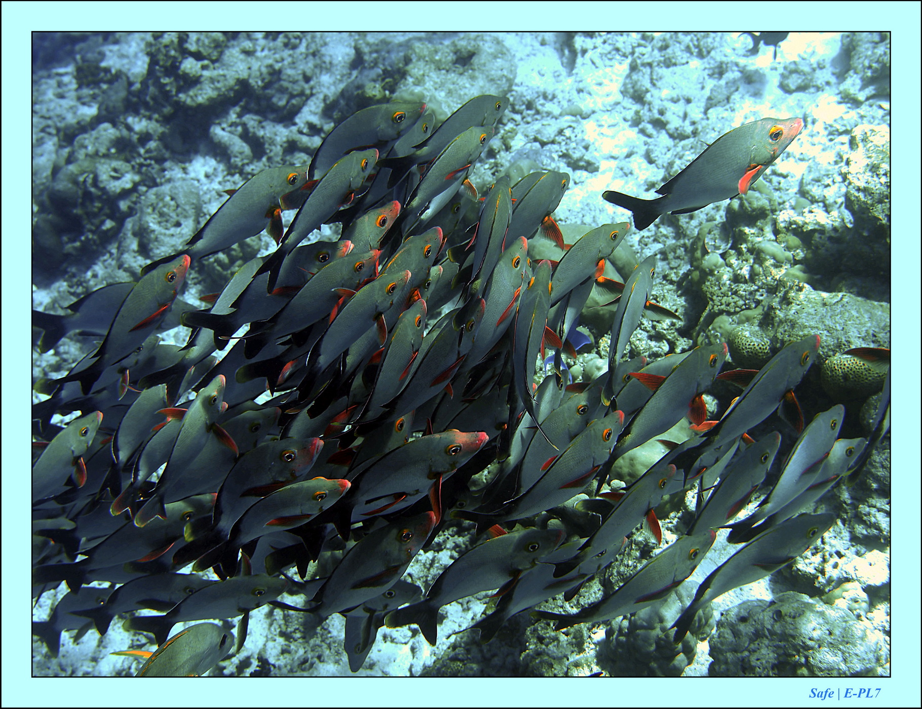 2023 - 07 - Sandies Bathala - 128